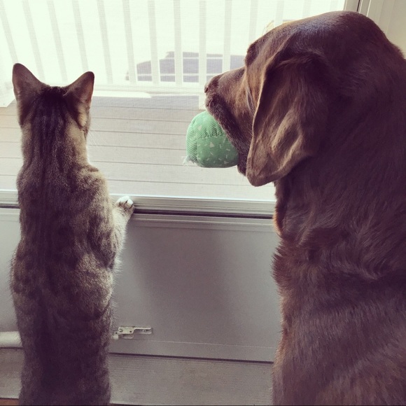 Meet your Posher, Kristen - Picture 1 of 1